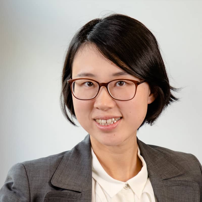 Xie Fei